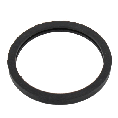Seal, thermostat (01668)