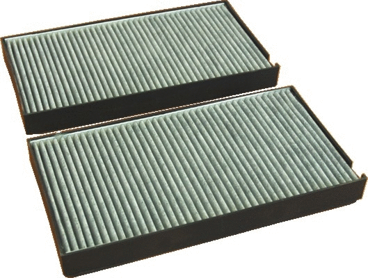 Filter, cabin air (17301FK-X2)