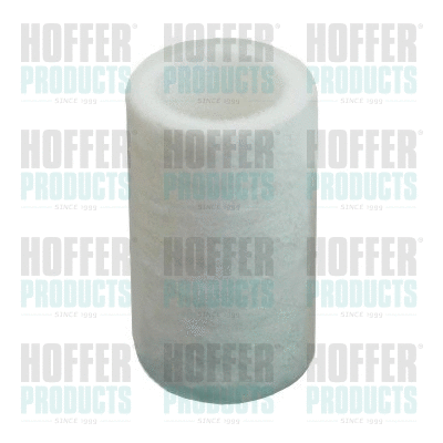 Fuel Filter (4996)