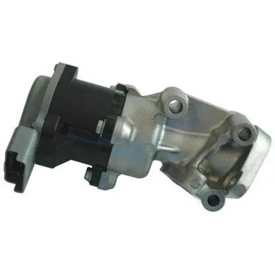EGR Valve (7518082R)