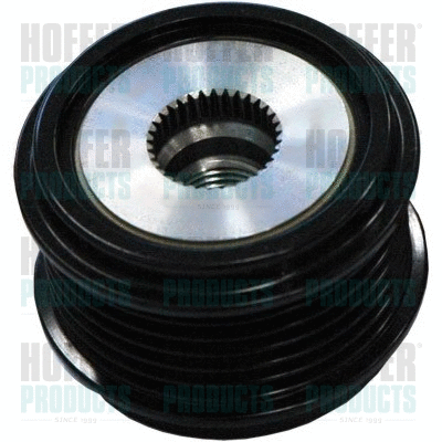 Alternator Freewheel Clutch (45188)