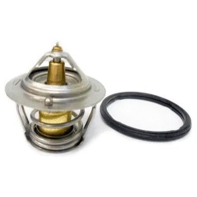 Thermostat, coolant (8192324)