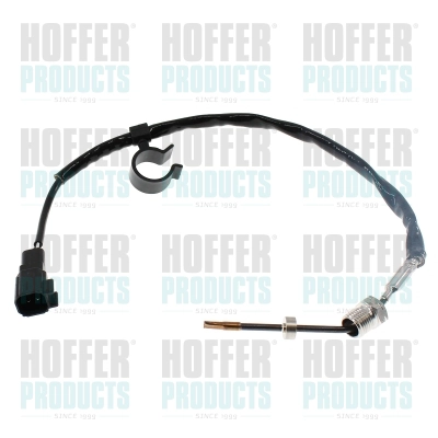 Sensor, exhaust gas temperature (7452776)