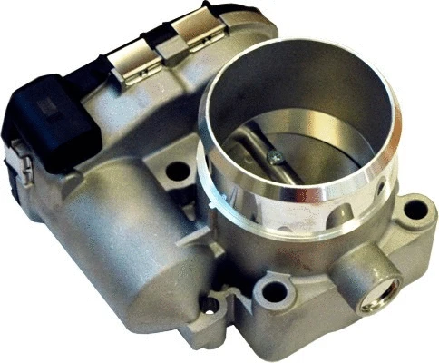 Throttle Body (7519126)
