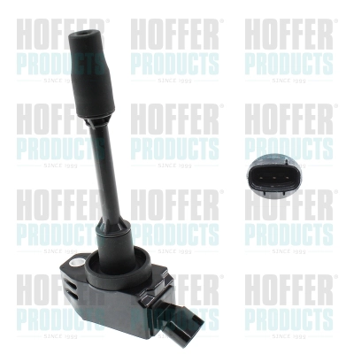 Ignition Coil (8010903)