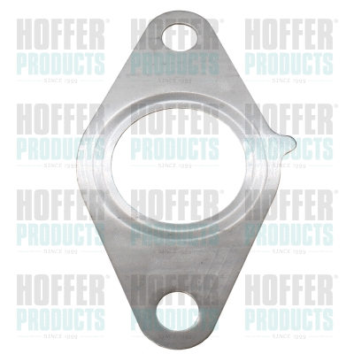 Gasket, EGR valve (016125)