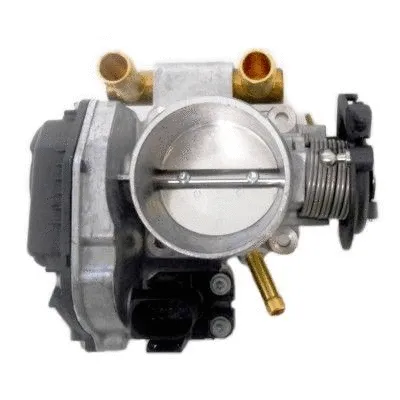 Throttle Body (7519305)