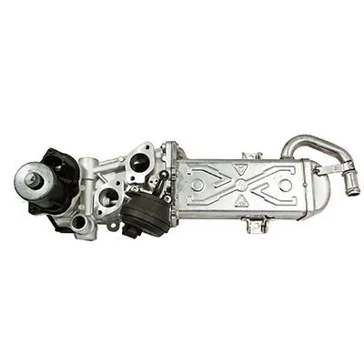 EGR Valve (7518259R)