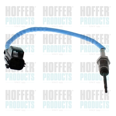Sensor, exhaust gas temperature (7452815)