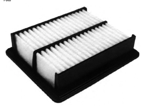 Air Filter (16205)