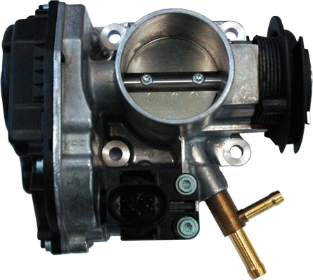 Throttle Body (7519103)