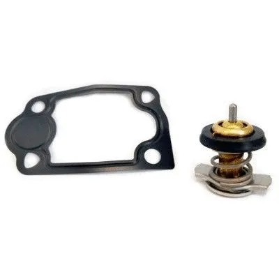 Thermostat, coolant (8192678)