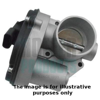 Throttle Body (7519194R)