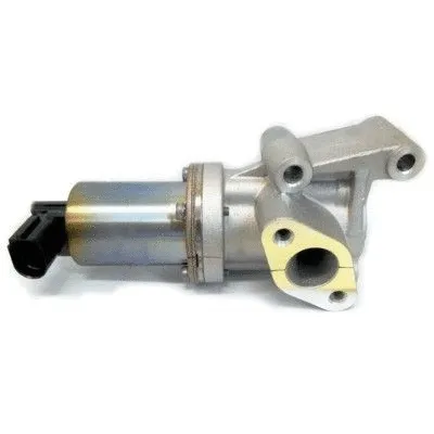 EGR Valve (7518305)