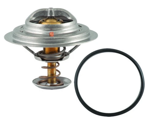 Thermostat, coolant (8192318)