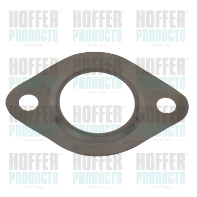Gasket, EGR valve (016219)