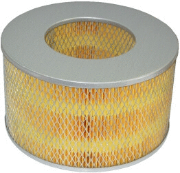 Air Filter (18007)
