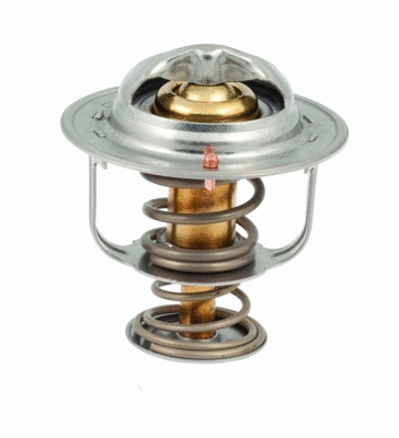 Thermostat, coolant (8192326)