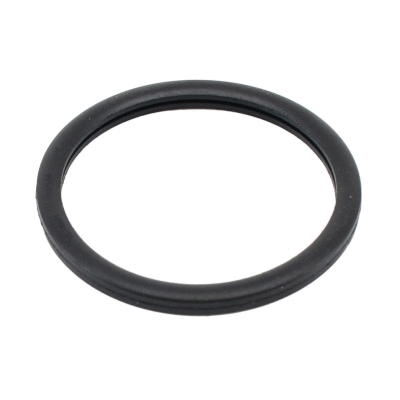 Seal, thermostat (01656)