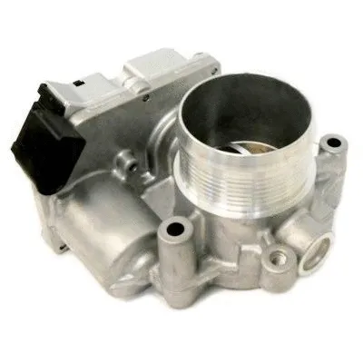 Throttle Body (7519196)