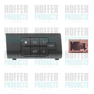 Multi-Function Switch (H206152)