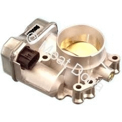 Throttle Body (7519034E)