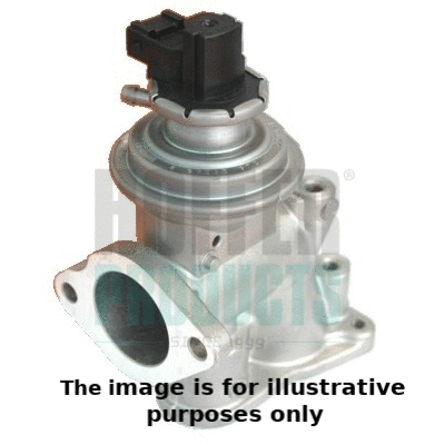EGR Valve (7518105E)