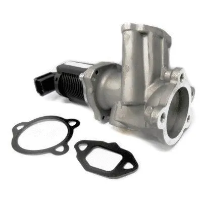 EGR Valve (7518334)