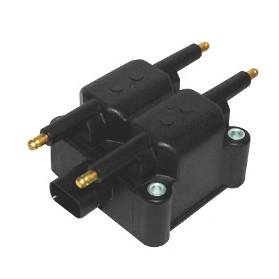 Ignition Coil (8010741)