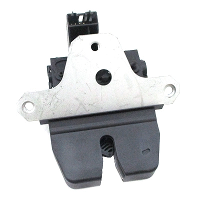 Tailgate Lock (3100536)