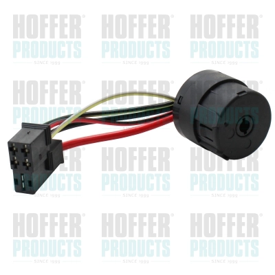 Ignition Switch (2104059)