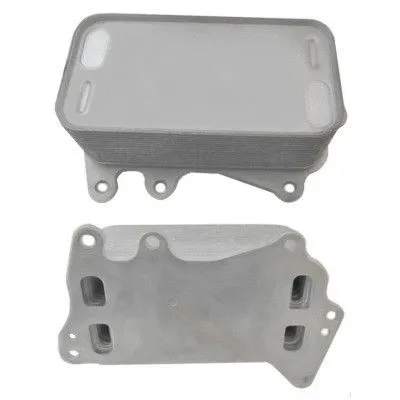 Oil Cooler, engine oil (8095132)