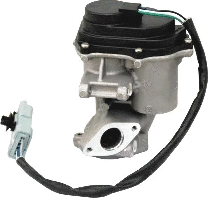 EGR Valve (7518197)