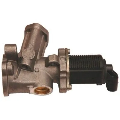 EGR Valve (7518043R)