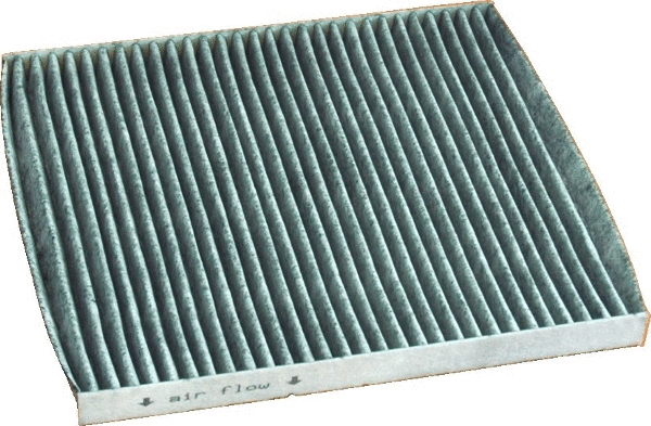 Filter, cabin air (17336K)