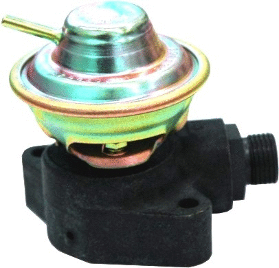 EGR Valve (7518157)