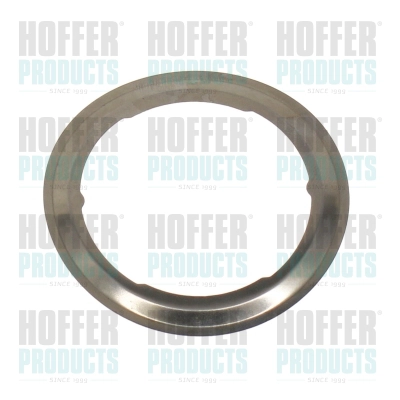 Gasket, EGR valve (016217)