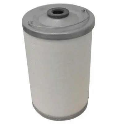 Fuel Filter (4231)