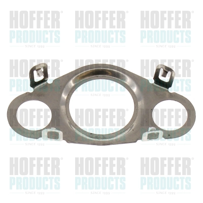 Gasket, EGR valve (016184)