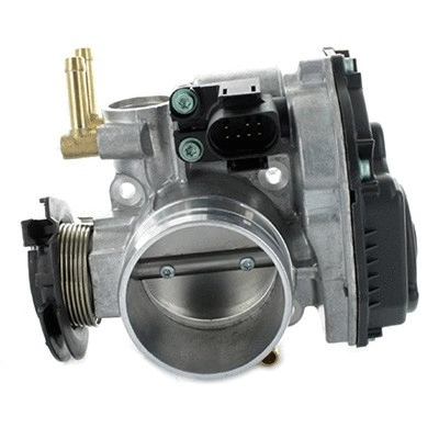 Throttle Body (7519018)