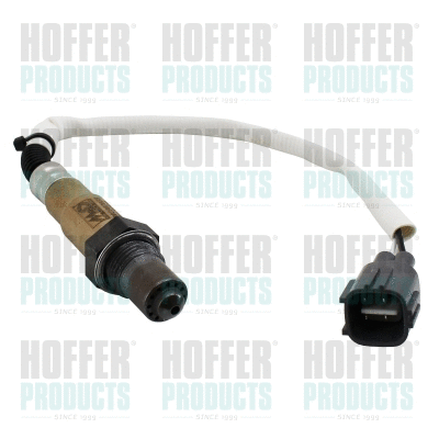 Lambda Sensor (74811005E)