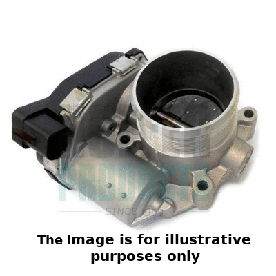 Throttle Body (7519052E)