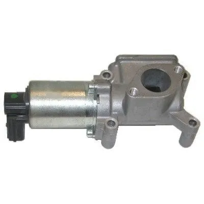 EGR Valve (7518006R)