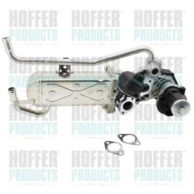 EGR Valve (7518260E)
