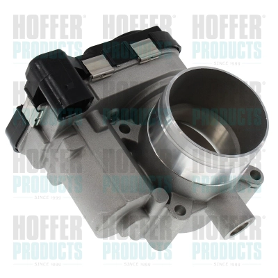 Throttle Body (7519359E)