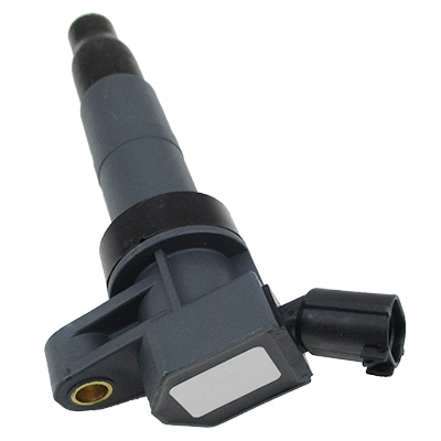 Ignition Coil (8010829)
