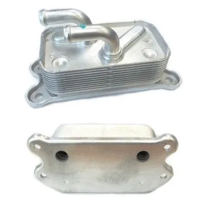 Oil Cooler, engine oil (8095097)