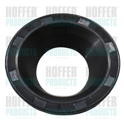 Repair Kit, injection nozzle (80298522)