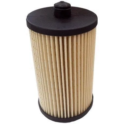 Fuel Filter (4999)