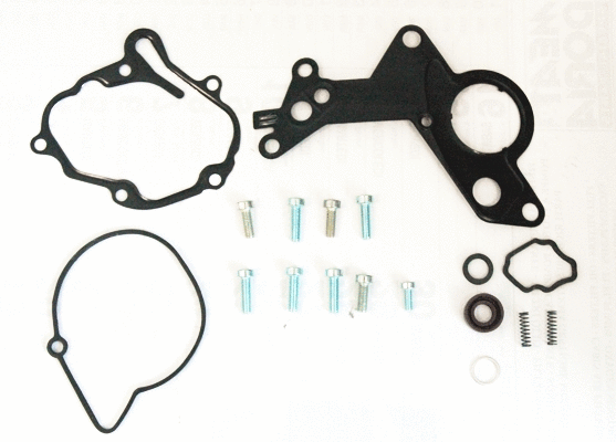 Repair Set, vacuum pump (braking system) (91109)